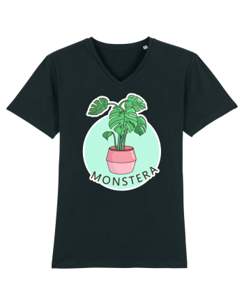 Planta Monstera Black