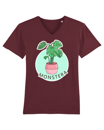 Planta Monstera Burgundy
