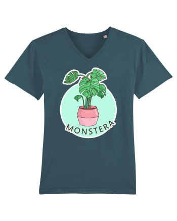 Planta Monstera Stargazer