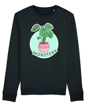 Planta Monstera Black