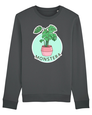 Planta Monstera Anthracite