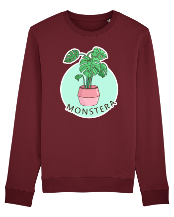 Planta Monstera Burgundy