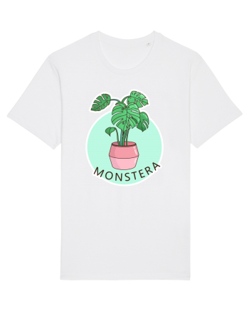 Planta Monstera White