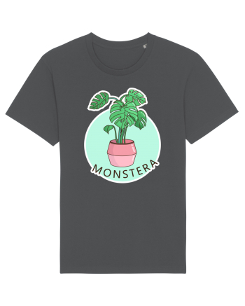Planta Monstera Anthracite