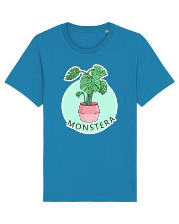 Planta Monstera Azur