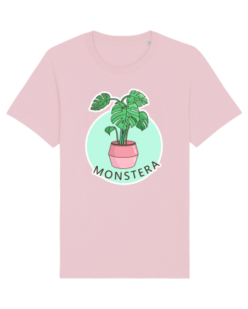 Planta Monstera Cotton Pink