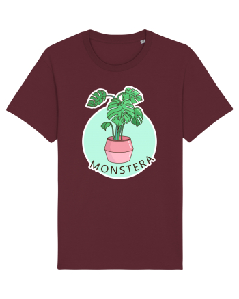 Planta Monstera Burgundy