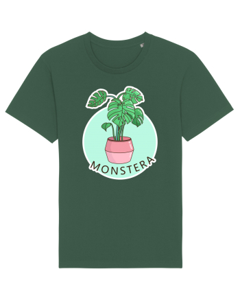 Planta Monstera Bottle Green