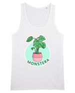 Planta Monstera Maiou Bărbat Runs