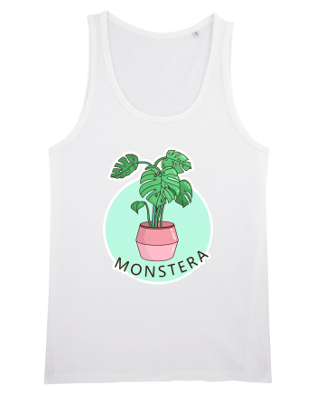Planta Monstera White