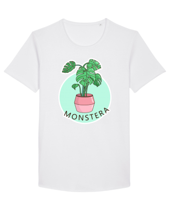 Planta Monstera White