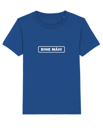 Bine mah Majorelle Blue