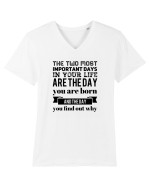 Inspiro #19 Tricou mânecă scurtă guler V Bărbat Presenter