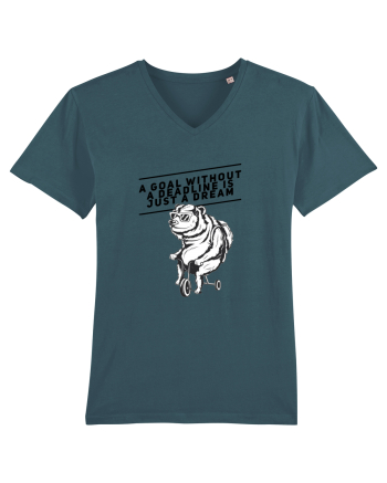 Deadlineless bear Stargazer