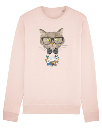 World book day Candy Pink