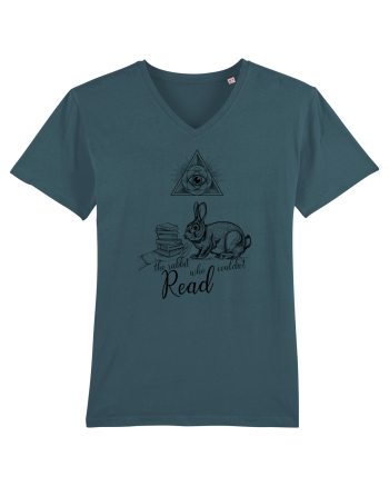 the black rabbit who could not read Stargazer