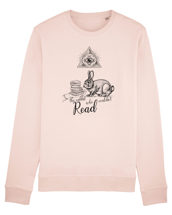 the black rabbit who could not read Candy Pink