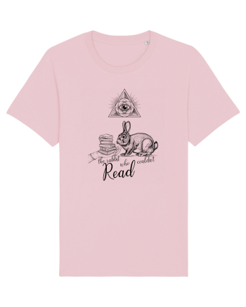 the black rabbit who could not read Cotton Pink
