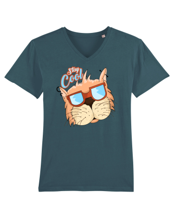 Stay cool Cat Stargazer