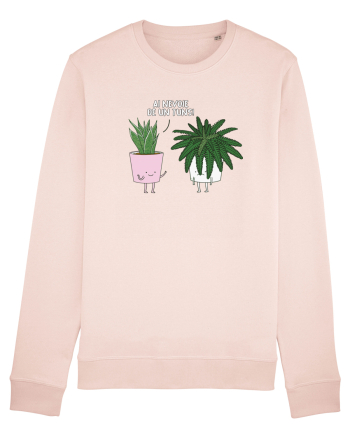 Ai nevoie de un tuns! Candy Pink