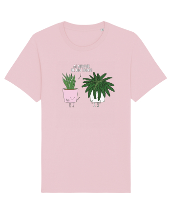 Ai nevoie de un tuns! Cotton Pink
