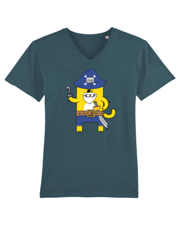 Pirate Meow Stargazer