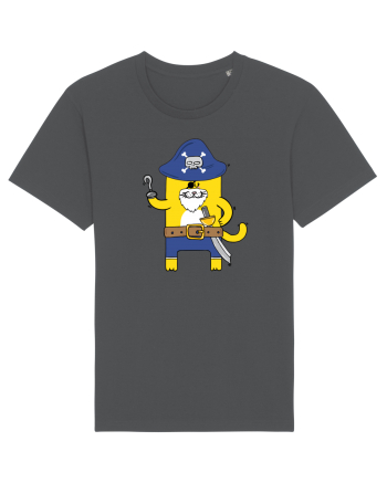 Pirate Meow Anthracite