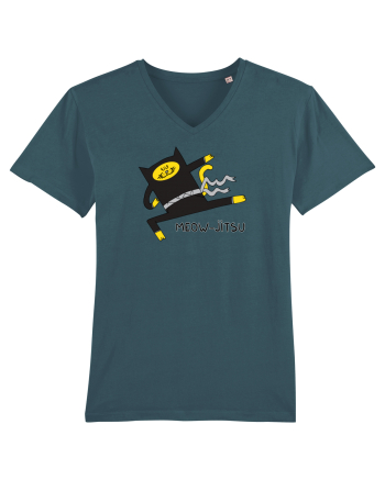 Meow-Jitsu Stargazer