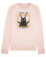 Don't be an asshole Bluză mânecă lungă Unisex Rise