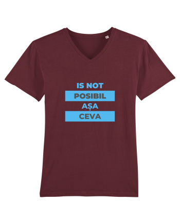 Is not posibil asa ceva Burgundy