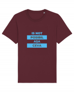 Is not posibil asa ceva Tricou mânecă scurtă Unisex Rocker