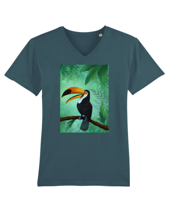 Tucan Stargazer