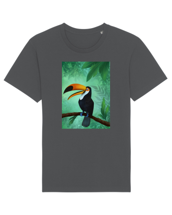 Tucan Anthracite