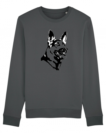 German Shepherd Anthracite