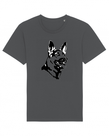 German Shepherd Anthracite