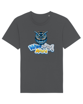 wise owl award Anthracite