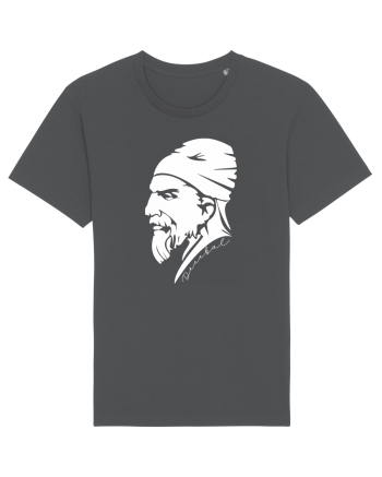 Decebal Anthracite