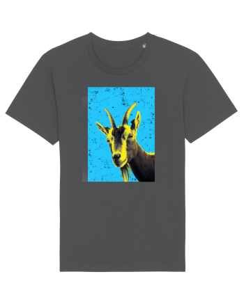 neon goat #1 Anthracite