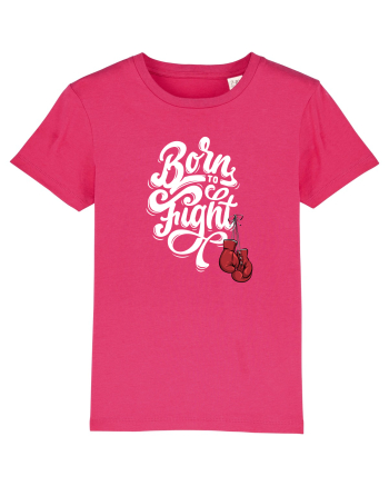 fighter Raspberry
