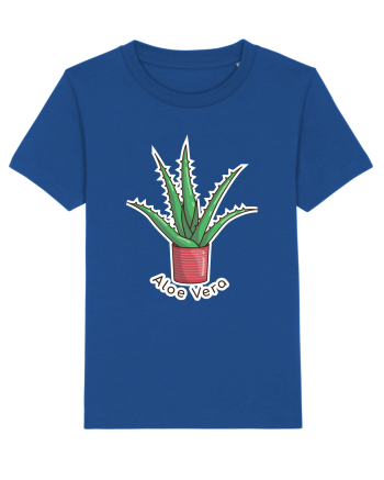 Planta Aloe Vera Majorelle Blue