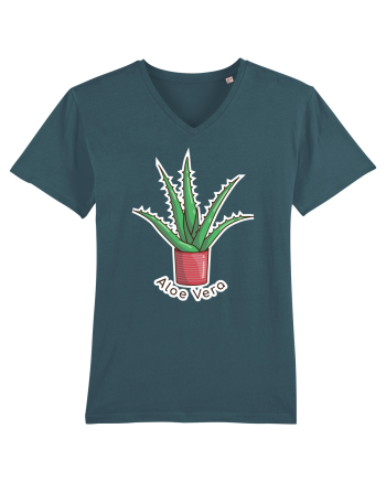 Planta Aloe Vera Stargazer