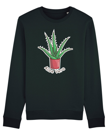 Planta Aloe Vera Black