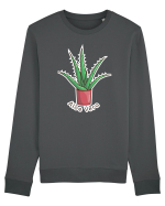 Planta Aloe Vera Bluză mânecă lungă Unisex Rise