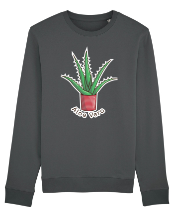 Planta Aloe Vera Anthracite