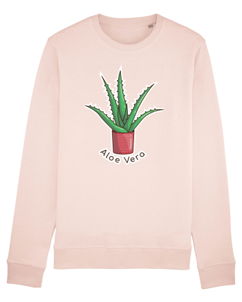 Planta Aloe Vera Candy Pink