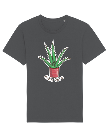 Planta Aloe Vera Anthracite