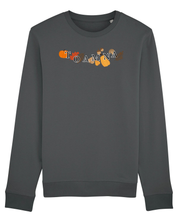 Toamna Anthracite