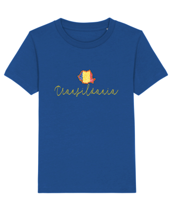 Transilvania Romania Harta Tricolora Majorelle Blue