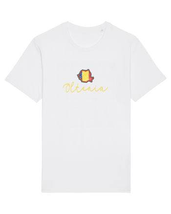 Oltenia Romania Harta Tricolora White