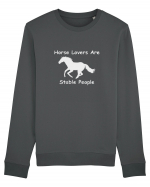 Horse Lovers Grey Design Bluză mânecă lungă Unisex Rise